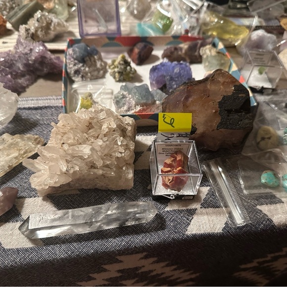 Introducing Lola - Picture 6 of 15